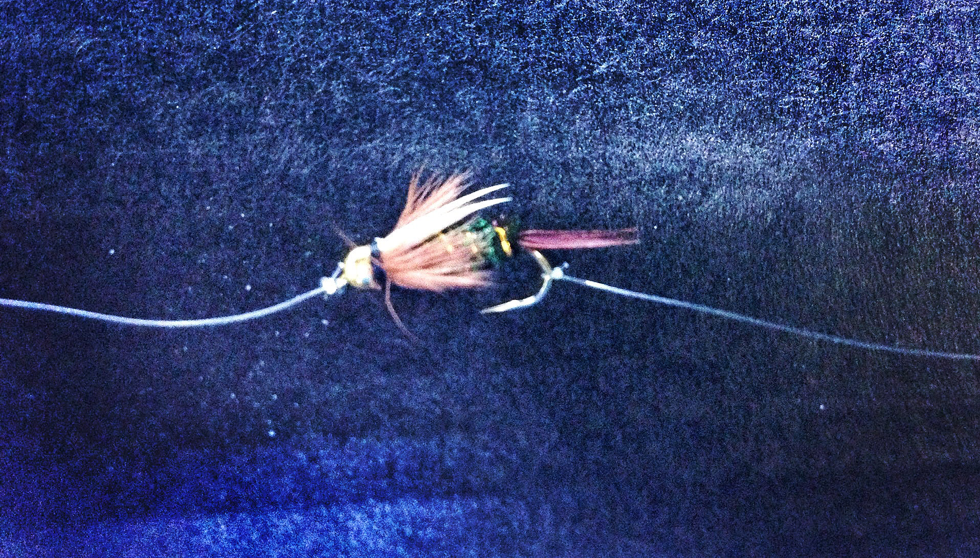 The Two Fly Setup  The Fly Fishing Basics