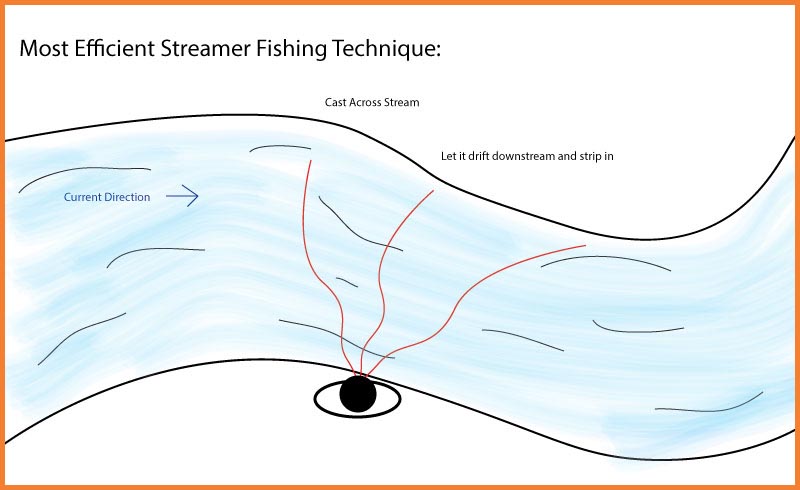 Streamer Fishing Tactics