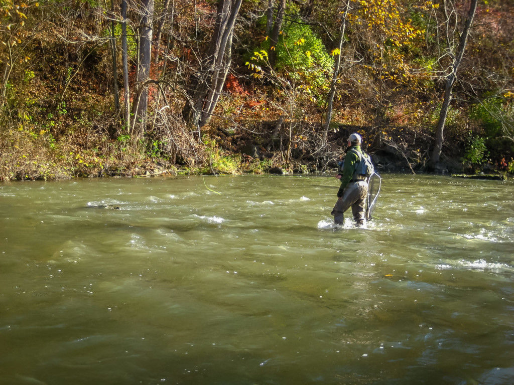 Wading Basics - Fly Fishing